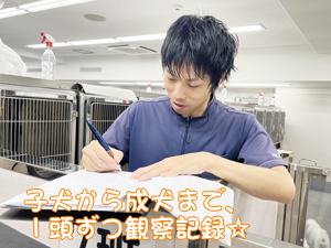 先生たちもモデル犬のお世話☆